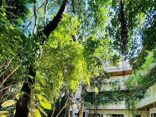 A Beautiful Family Apartment With A Private Pool A7 تولوم 0*,  المكسيك