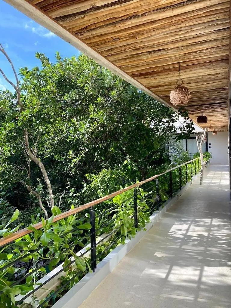 A Beautiful Family Apartment With A Private Pool A7 تولوم المكسيك